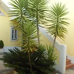 Casa de Campo Aqc - A Quinta Chama Caldas Da Rainha