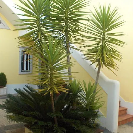 Landsted Aqc - A Quinta Chama Caldas Da Rainha
